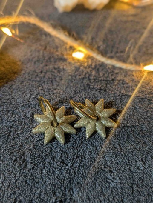 Boucles d'oreilles étoiles (créoles + pampilles)