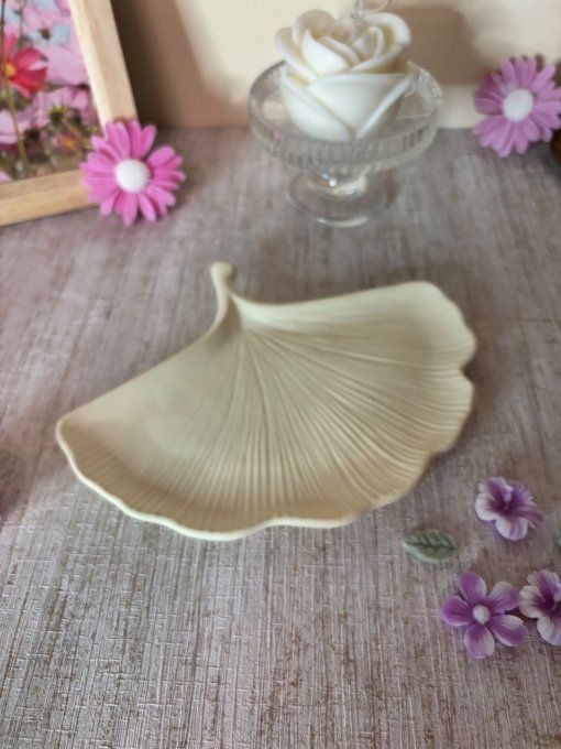 Plateau feuille de Ginkgo