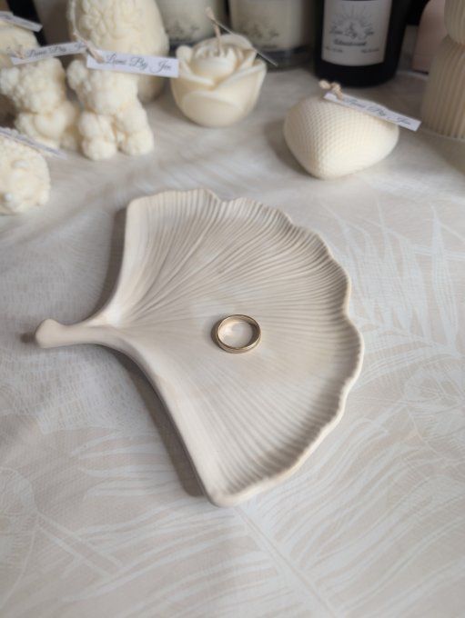 Plateau feuille de Ginkgo