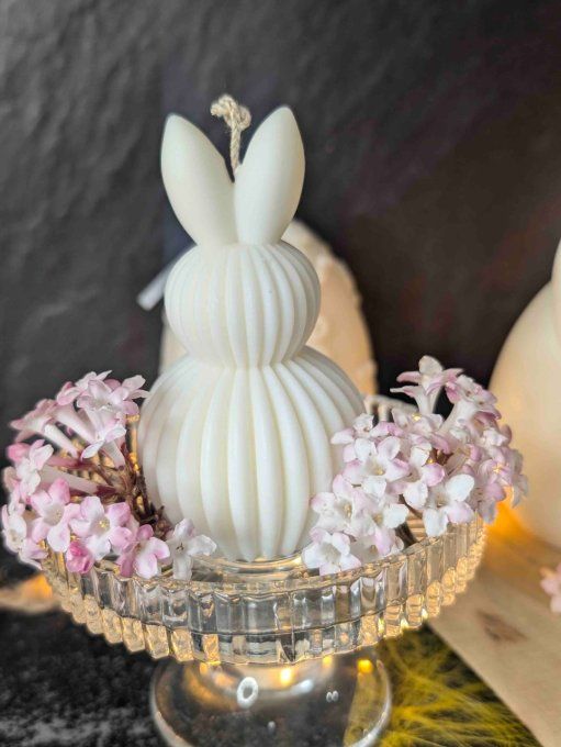 Lapin Strié